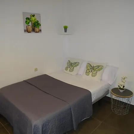 Casasjerezanas Vistaflor2